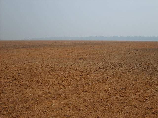 Venda Fazenda Vilhena - RO