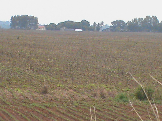 Venda Fazenda Campos de Júlio - MT Venda Fazenda Campos de Júlio - MT