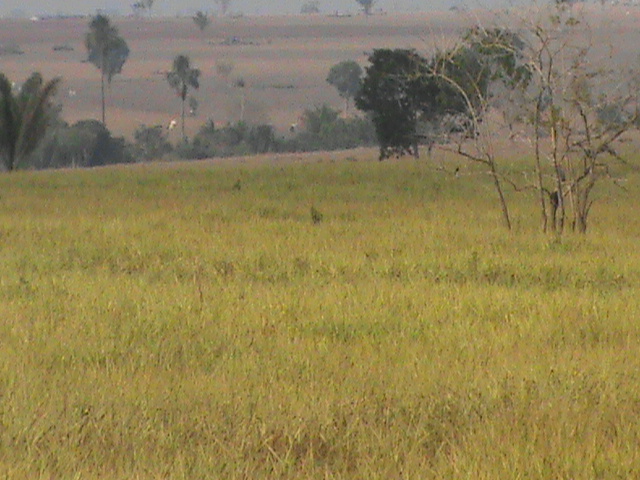 Venda Fazenda Juína - MT