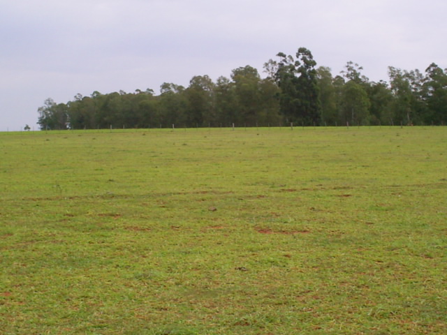 Venda Fazenda São Francisco de Assis - RS