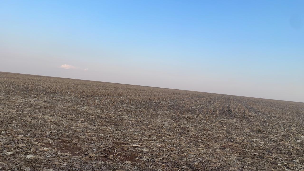 Venda Fazenda MT - MT