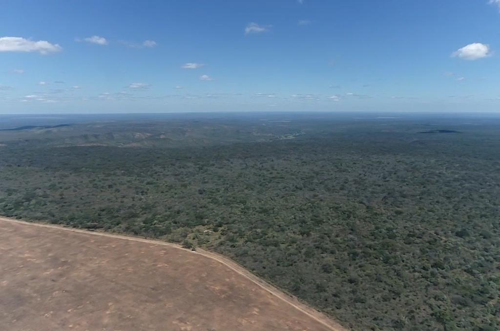 Venda Fazenda Bahia - BA Venda Fazenda Bahia - BA