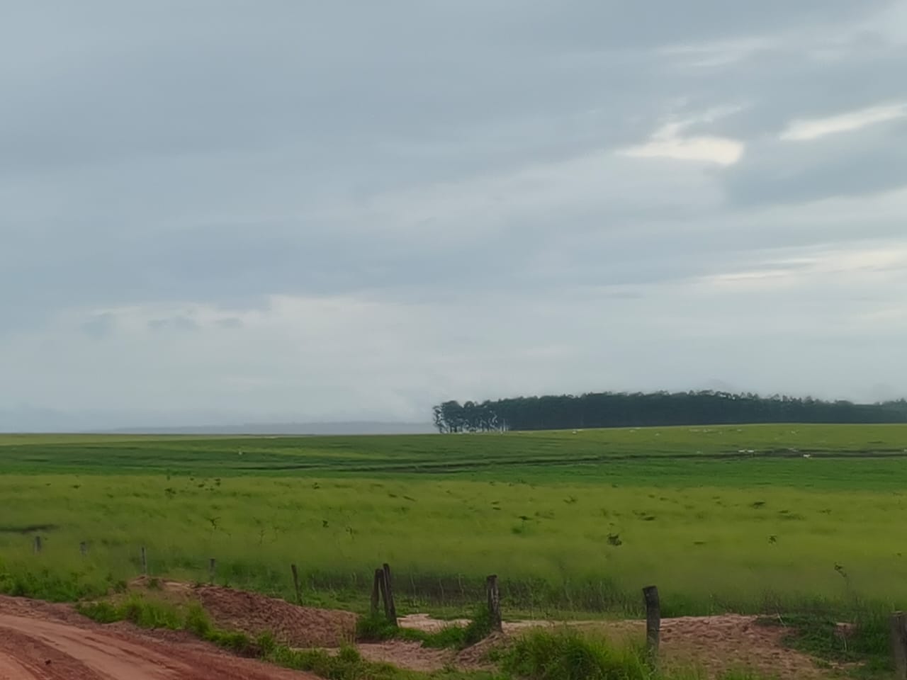 Venda Fazenda Tocantins - TO