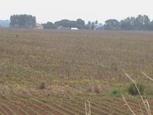 Venda Fazenda Campos de Júlio - MT